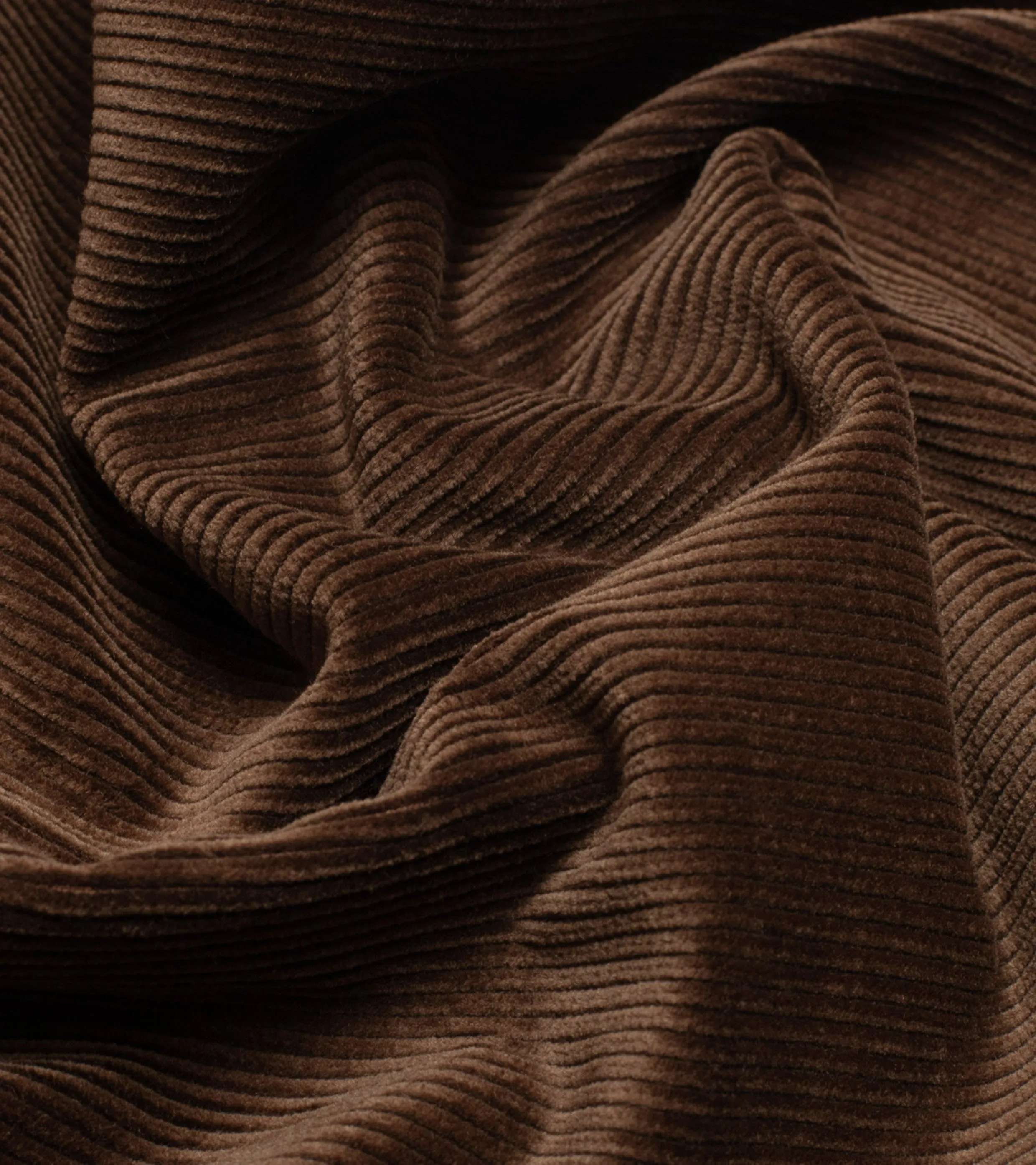 Army Chinos Corduroy Dark Brown